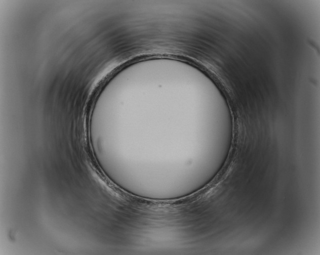 X0000103480982200809120924