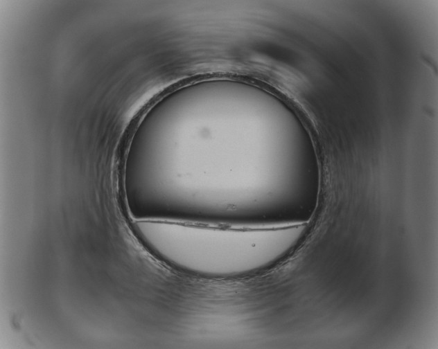 X0000103480983200809120924