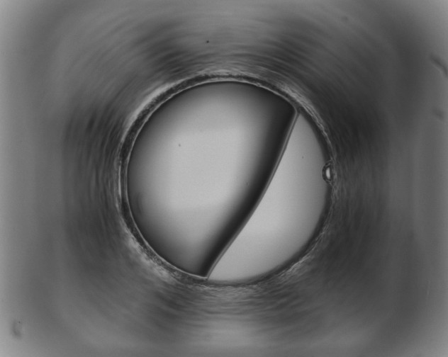 X0000103480984200809120924