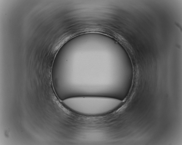 X0000103480985200809120924