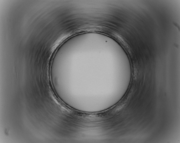 X0000103480986200809120924