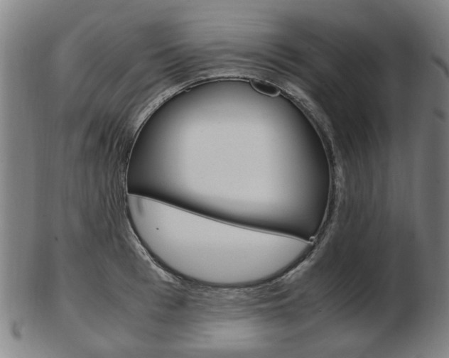 X0000103480993200809120924