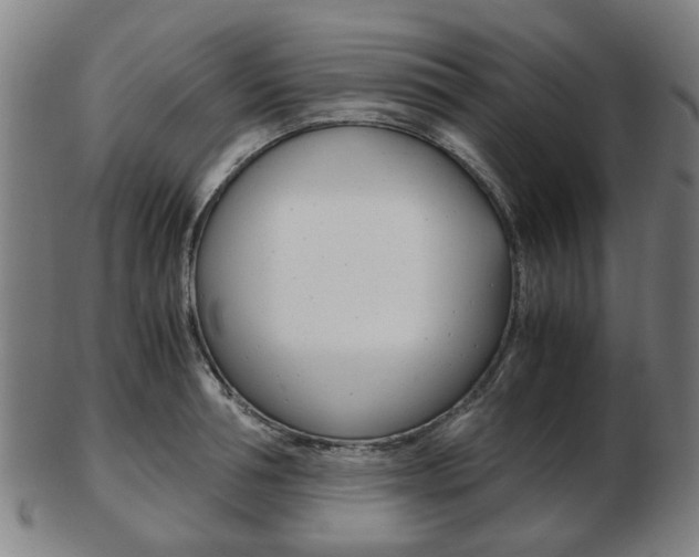 X0000103480994200809120924