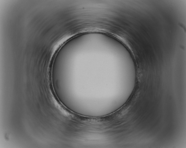 X0000103480995200809120924
