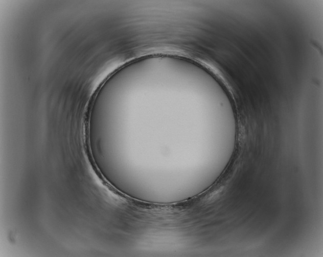 X0000103480999200809120924