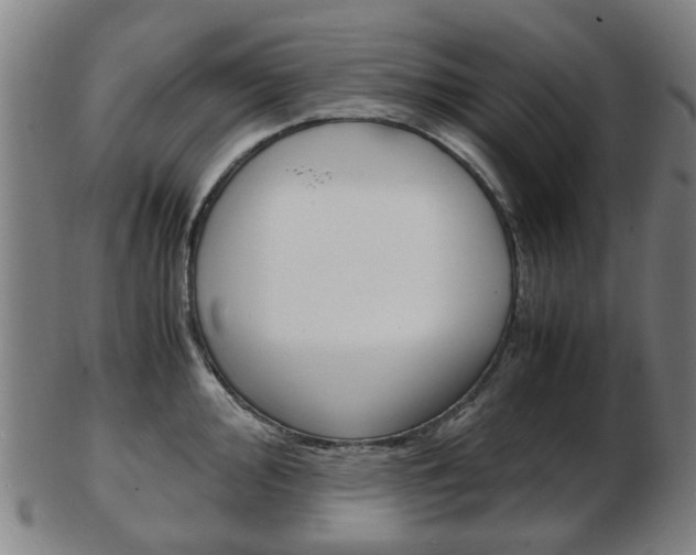 X0000103481000200809120924