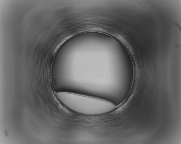 X0000103481001200809120924