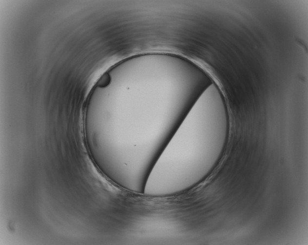 X0000103481006200809120924