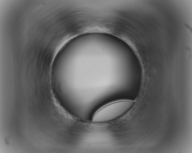 X0000103481008200809120924