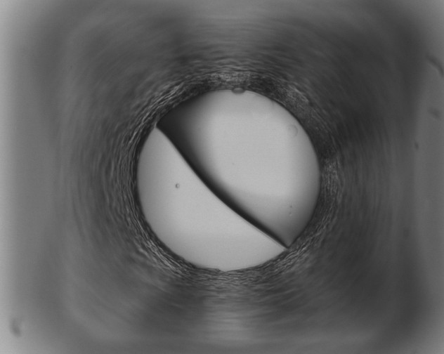 X0000103481009200809120923