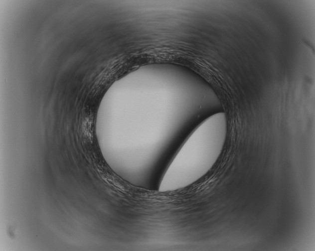 X0000103481010200809120923
