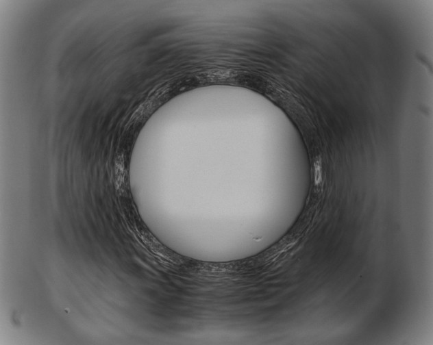X0000103481011200809120923