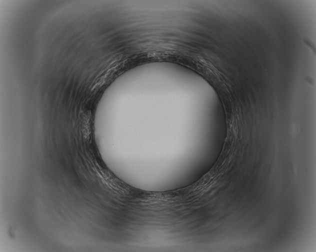 X0000103481012200809120923