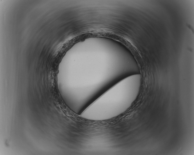 X0000103481016200809120923