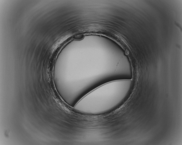 X0000103481018200809120923