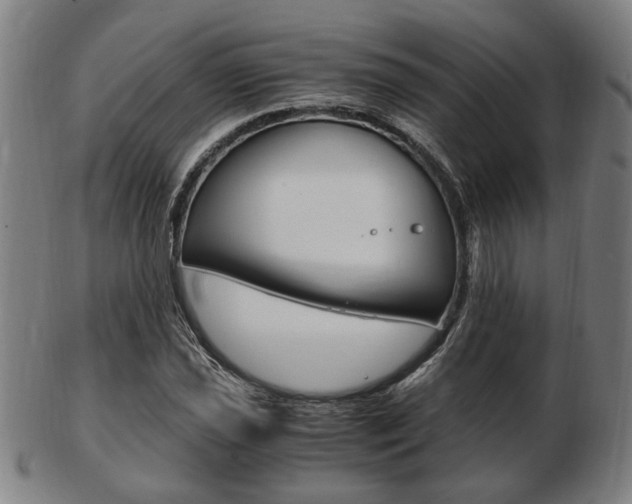 X0000103481021200809120923