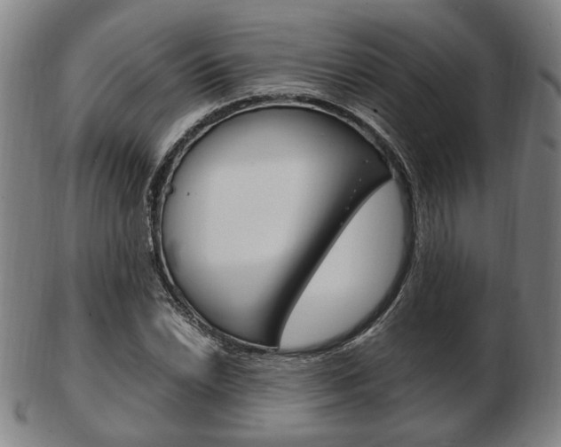 X0000103481022200809120923