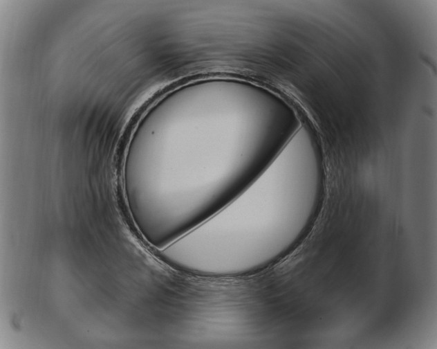 X0000103481024200809120923