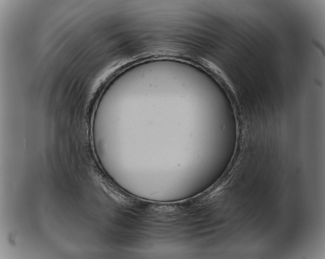 X0000103481027200809120923