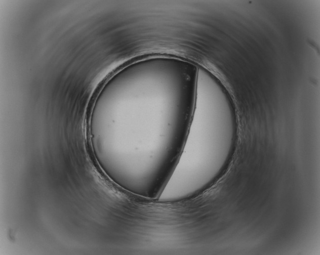 X0000103481028200809120923