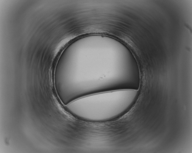 X0000103481030200809120923