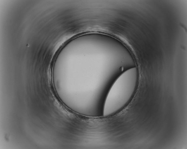 X0000103481032200809120923