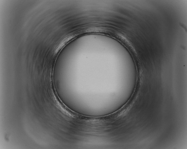 X0000103481033200809120923