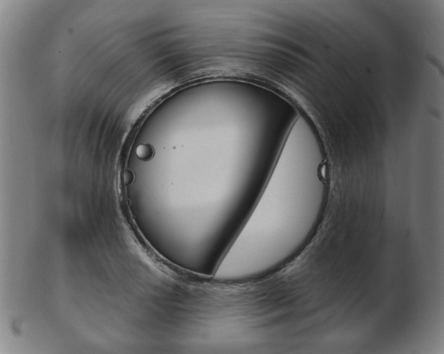 X0000103481034200809120923