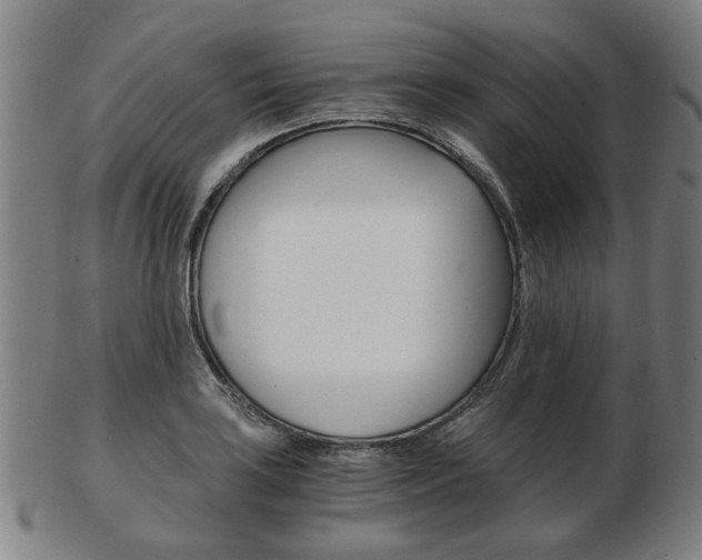 X0000103481035200809120923