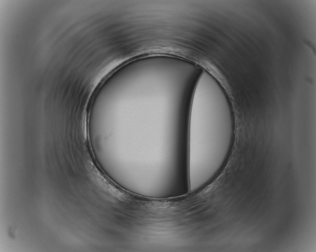 X0000103481036200809120923