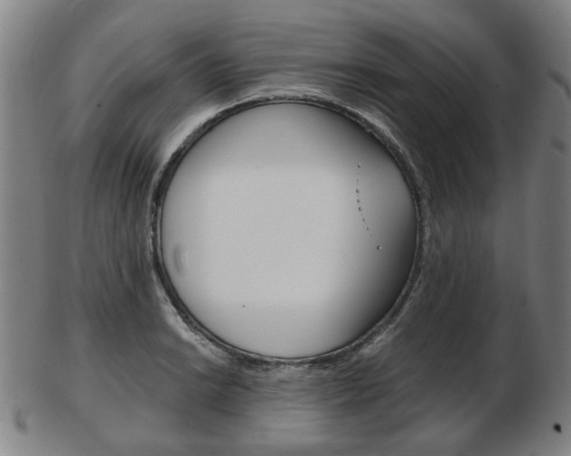 X0000103481038200809120923