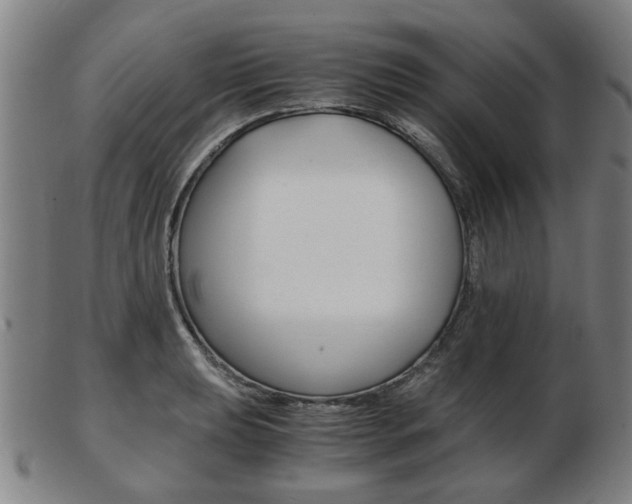 X0000103481039200809120923