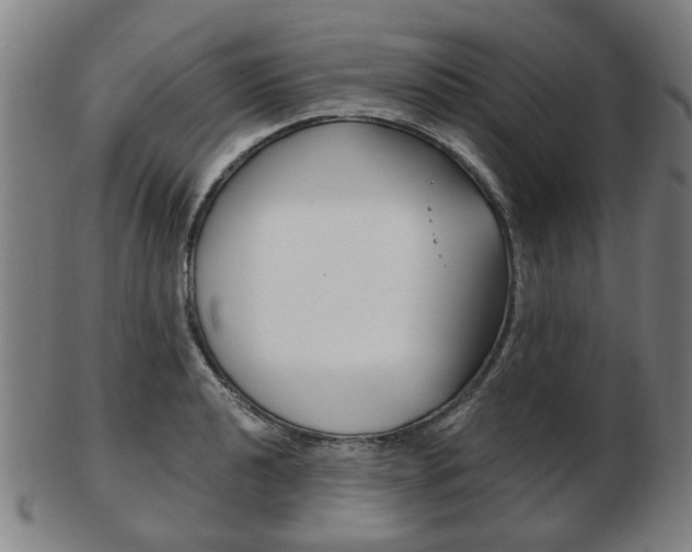 X0000103481040200809120923