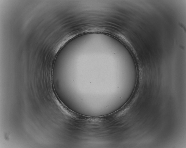 X0000103481041200809120923