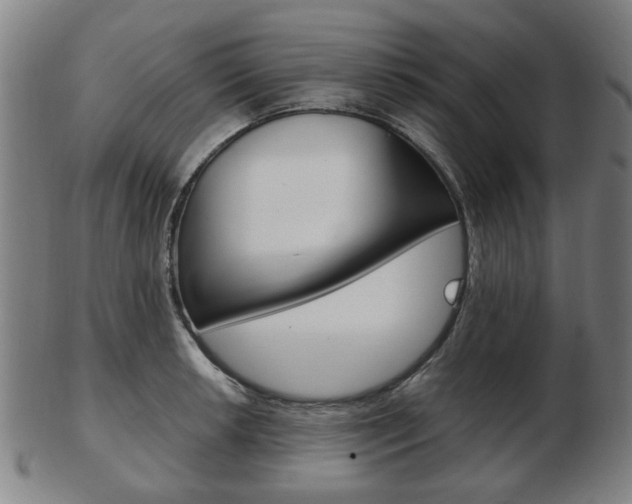 X0000103481042200809120923