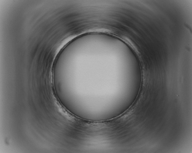 X0000103481044200809120923