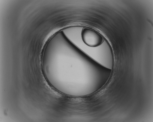 X0000103481045200809120923