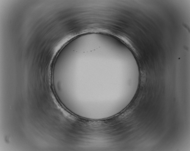 X0000103481046200809120924