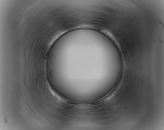 X0000103481049200809120924