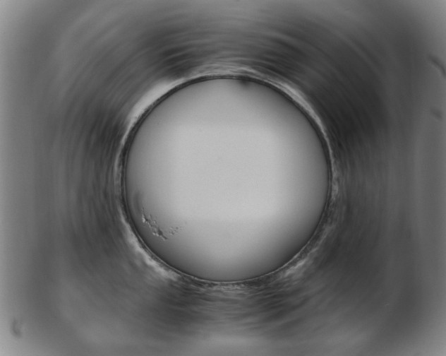 X0000103481053200809120924