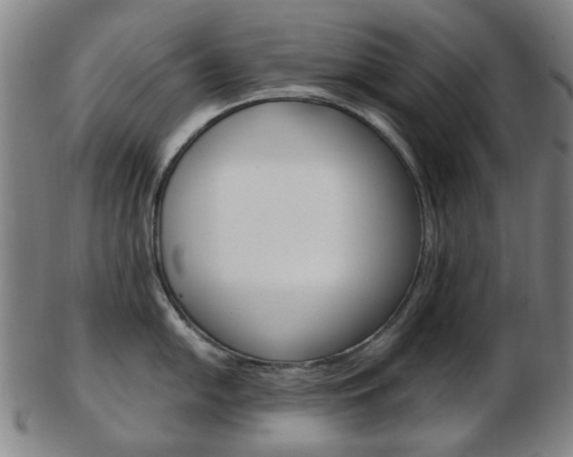 X0000103481054200809120924