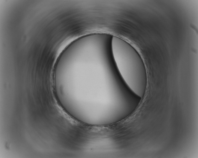 X0000103481056200809120924