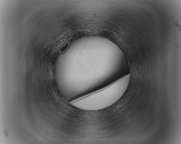 X0000103481058200809120923