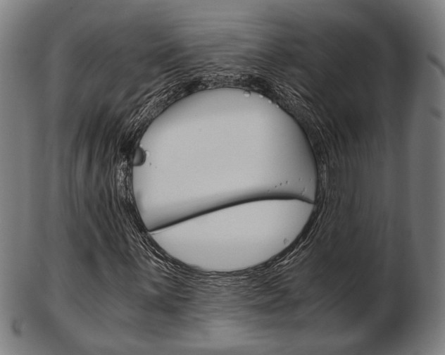 X0000103481059200809120923