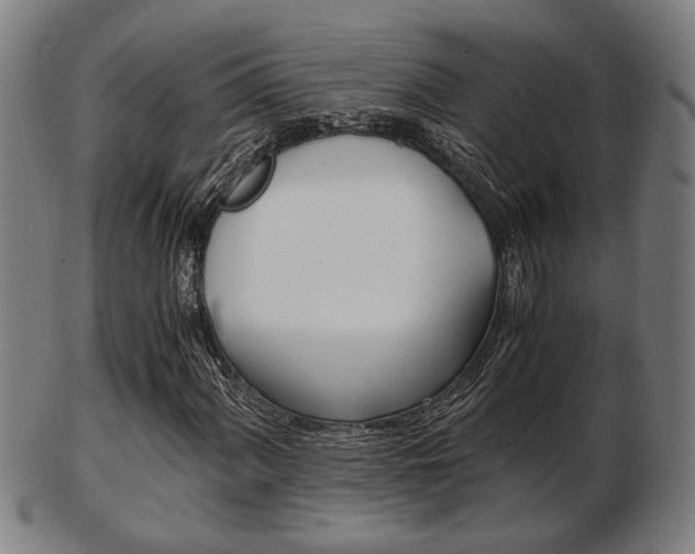 X0000103481060200809120923