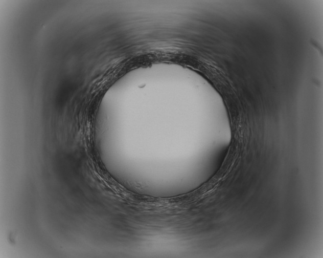 X0000103481061200809120923
