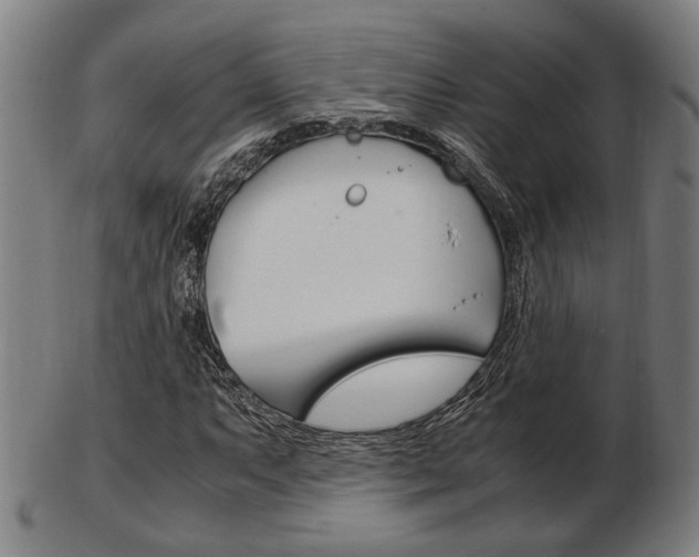 X0000103481063200809120923