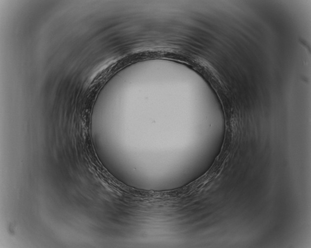 X0000103481064200809120923