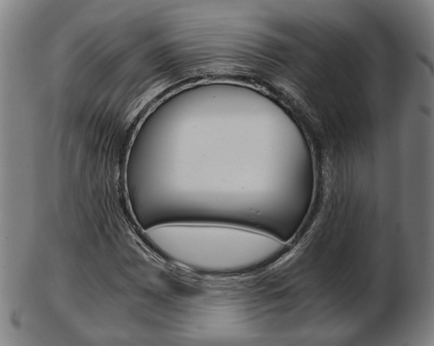 X0000103481065200809120923
