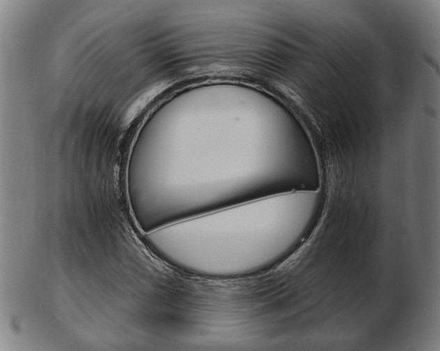 X0000103481066200809120923